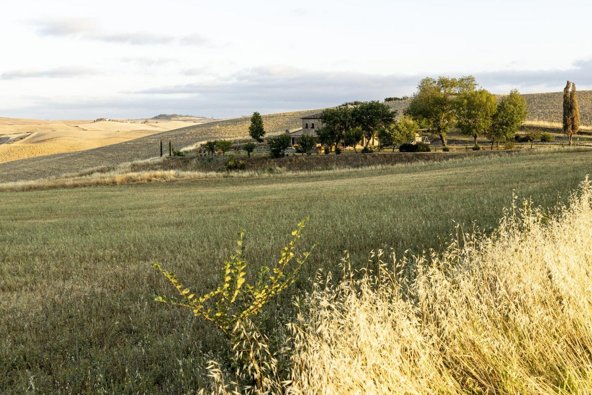 Вілла Vento D'Orcia П'єнца Екстер'єр фото